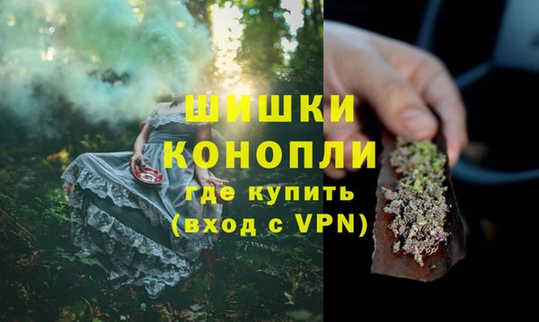 Альфа ПВП Белокуриха