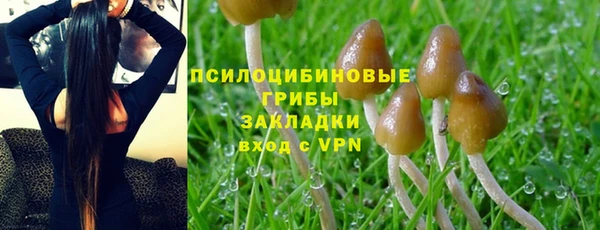 Альфа ПВП Белокуриха