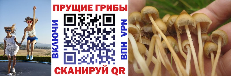 Псилоцибиновые грибы ЛСД Ханты-Мансийск
